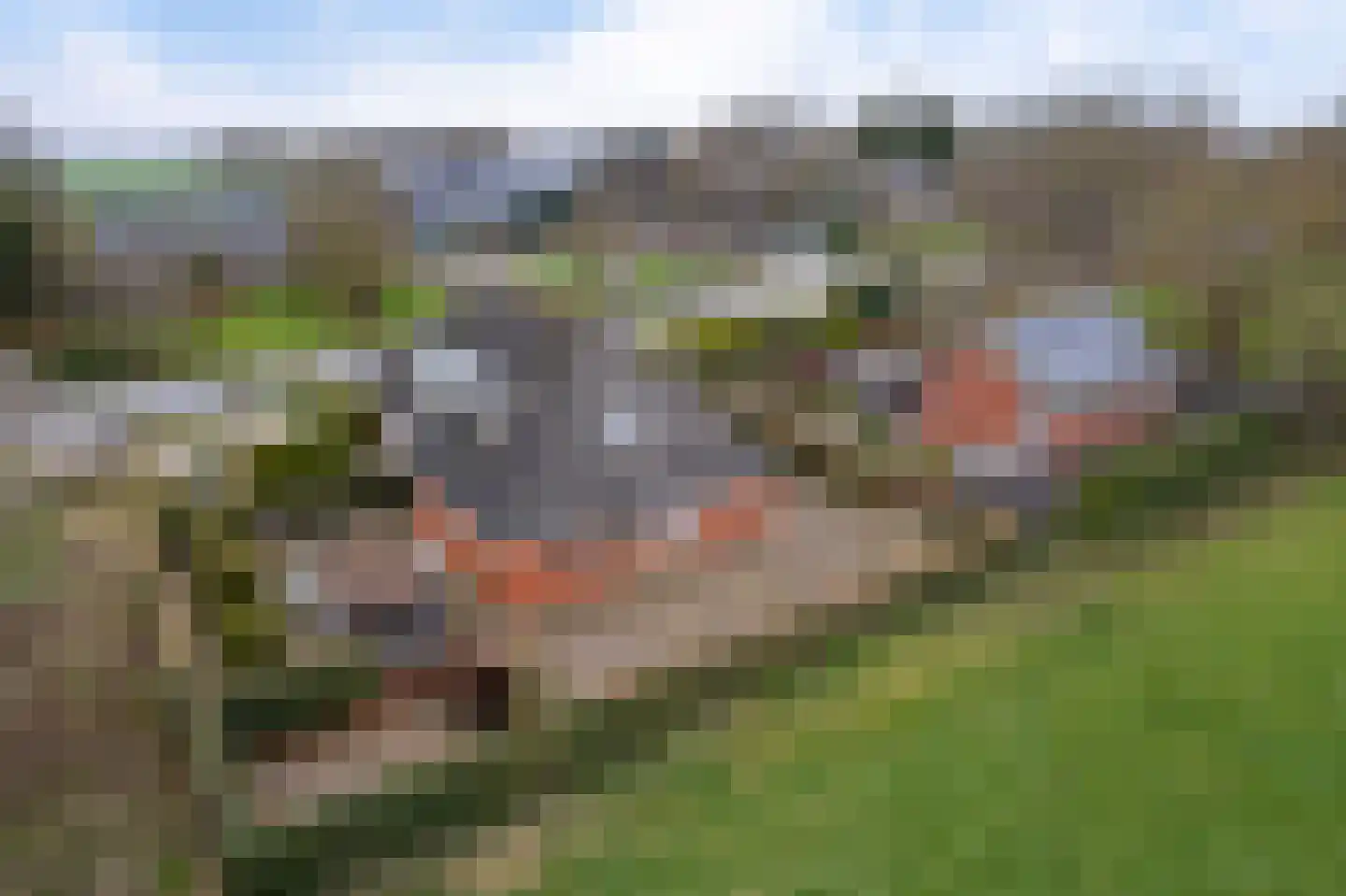 Binnenwei 22 Siegerswoude foto 3