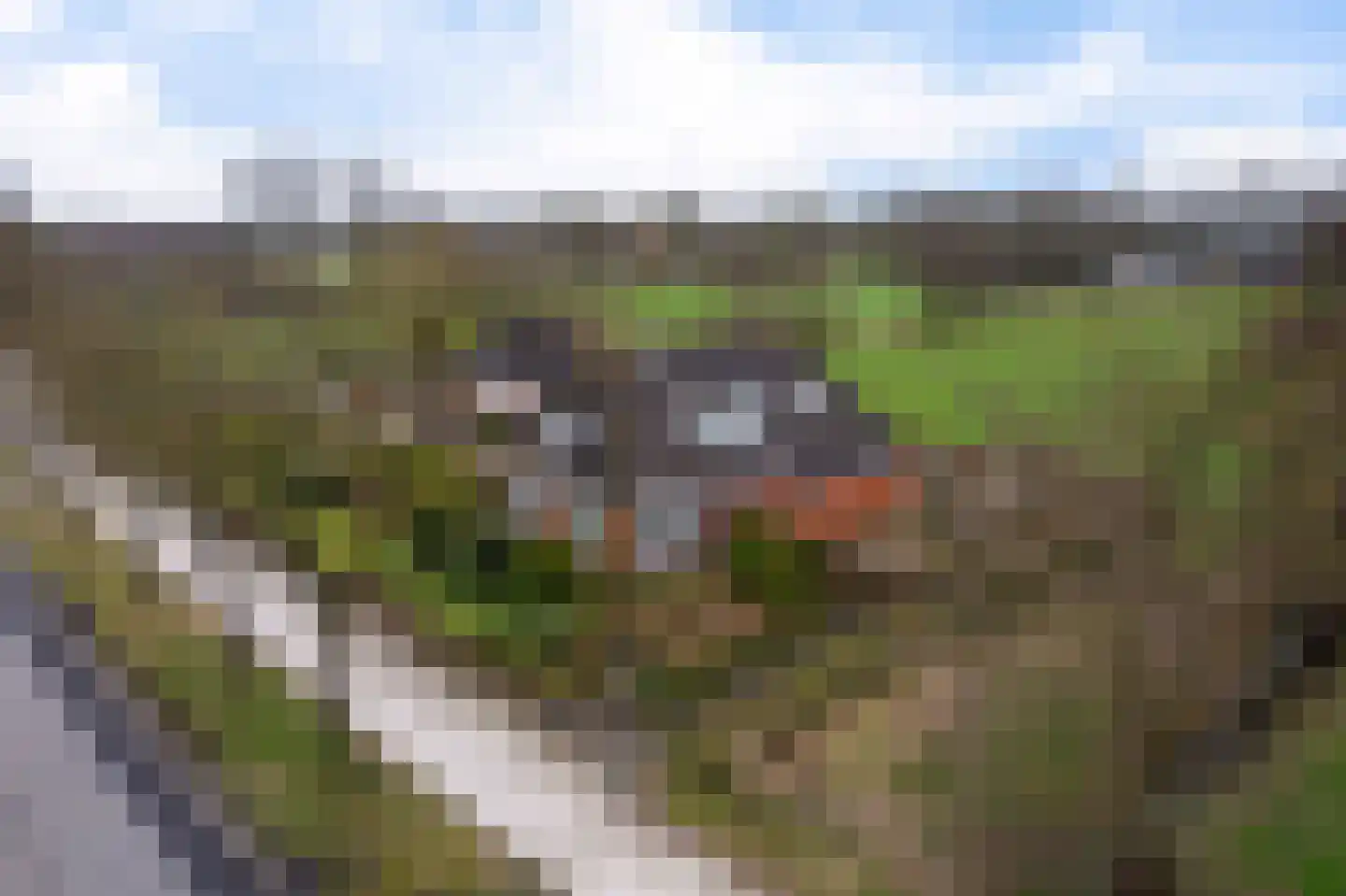 Binnenwei 22 Siegerswoude thumbnail 49