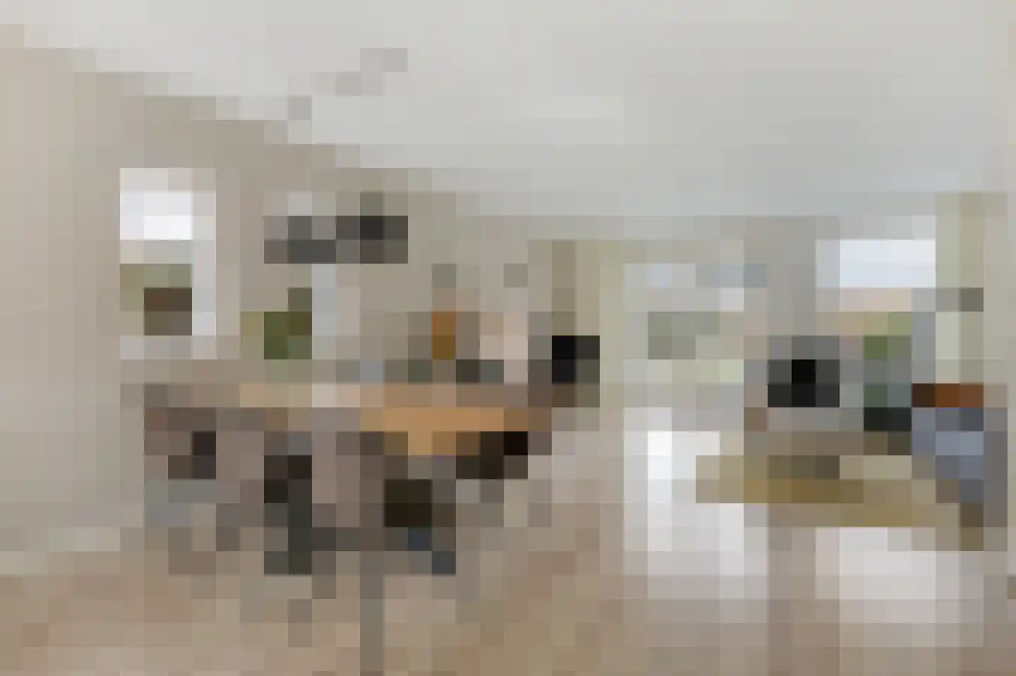 Binnenwei 25 Loo Gld thumbnail 13