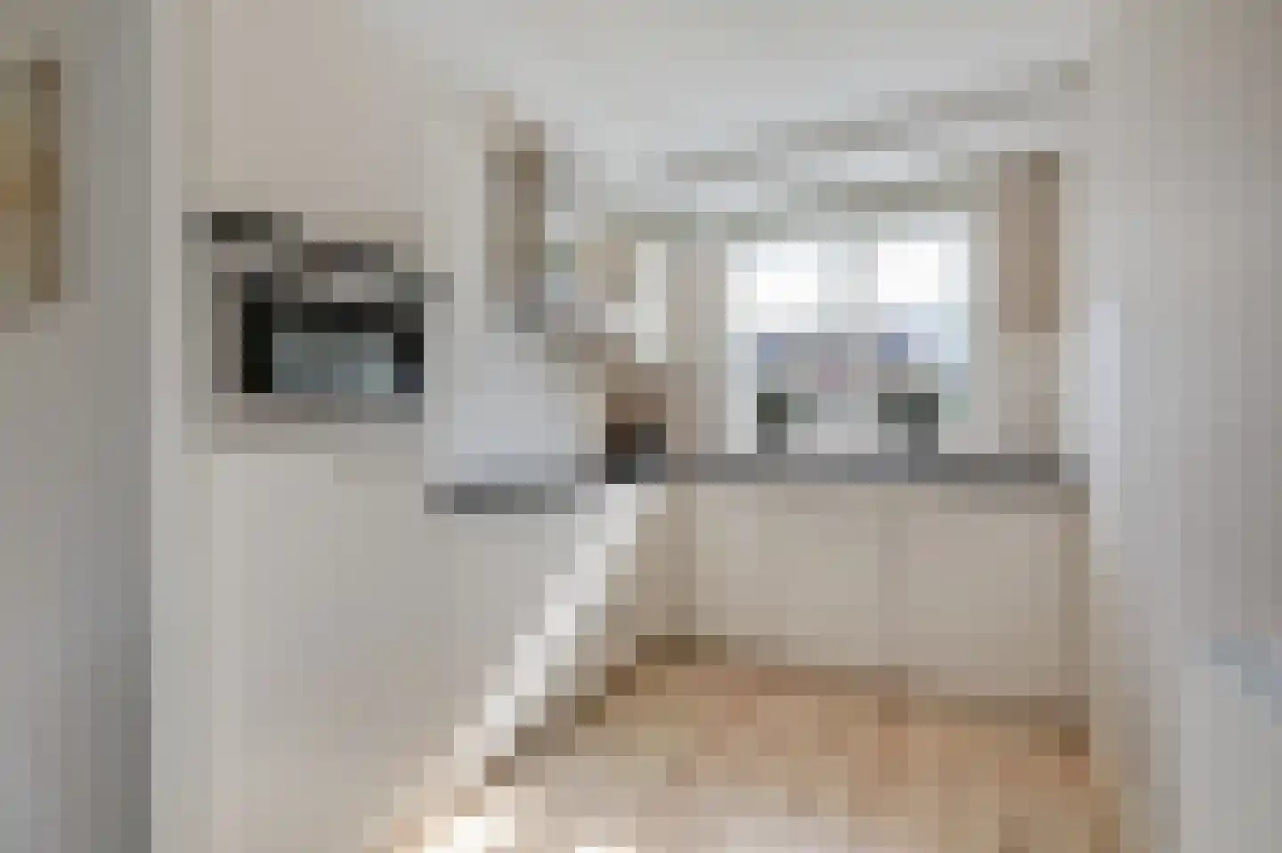 Binnenwei 25 Loo Gld thumbnail 19