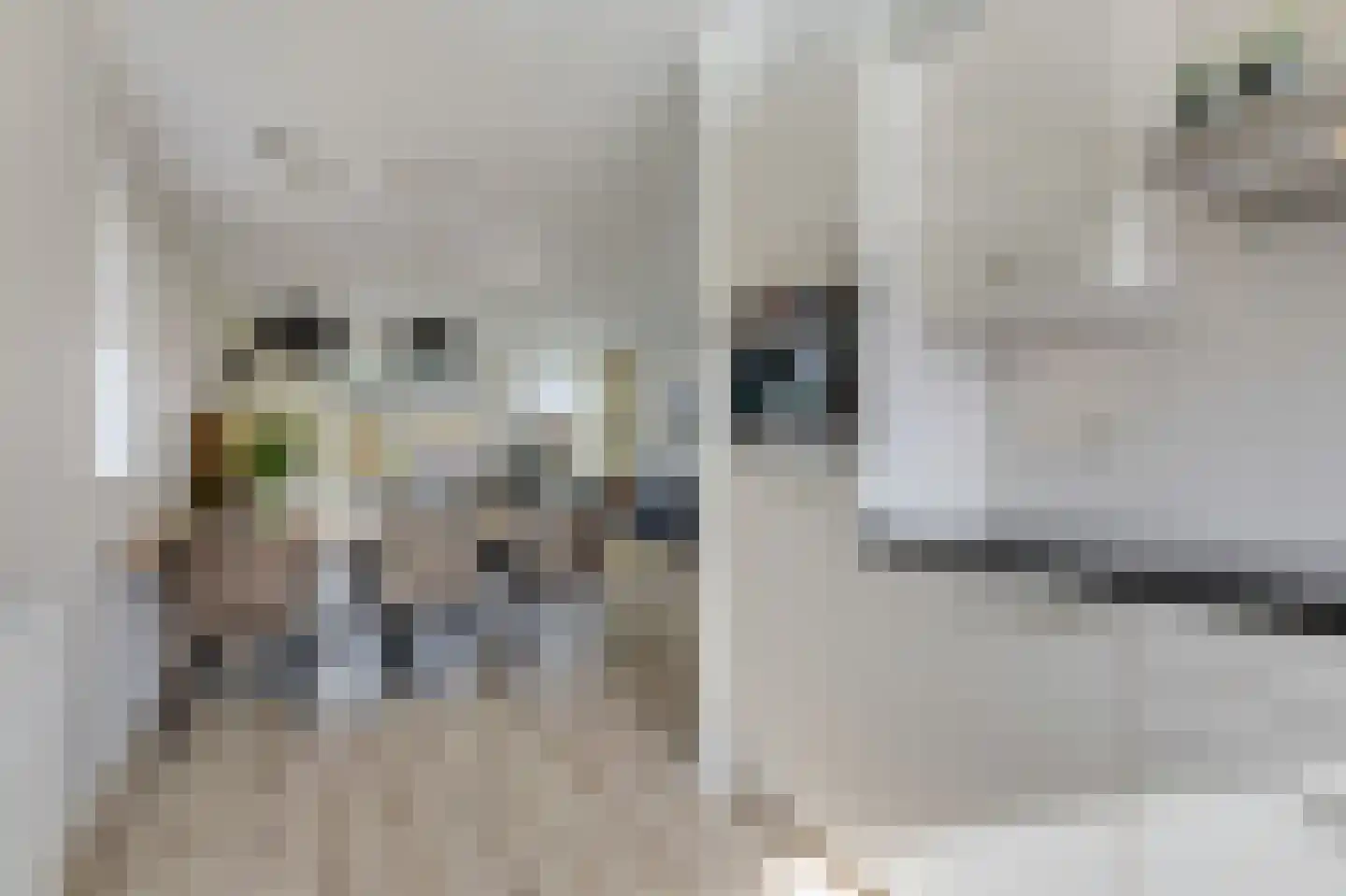 Binnenwei 25 Loo Gld thumbnail 21