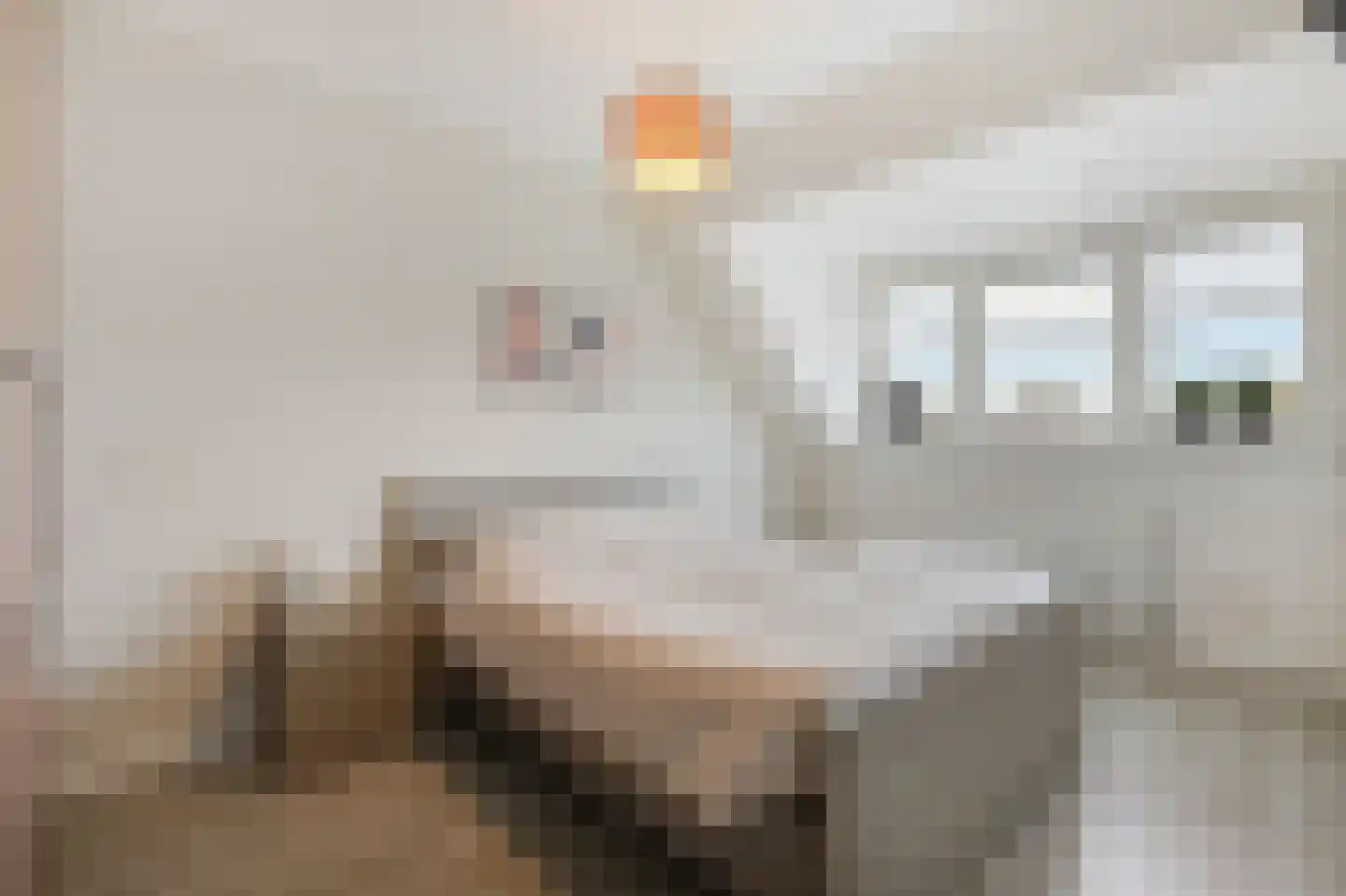 Binnenwei 25 Loo Gld thumbnail 24
