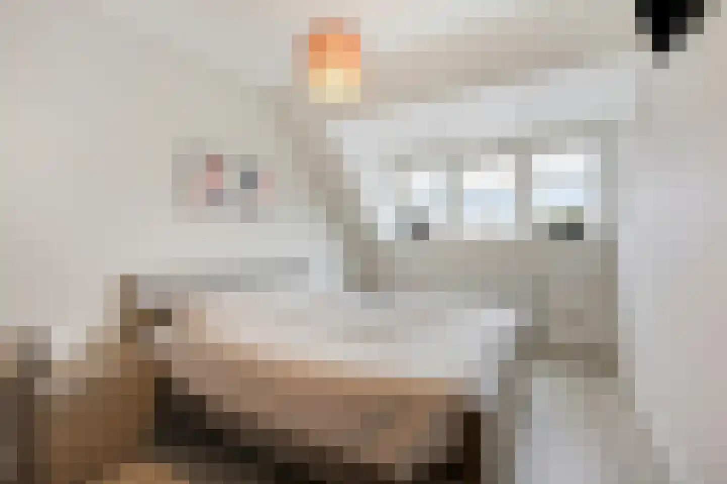 Binnenwei 25 Loo Gld thumbnail 25