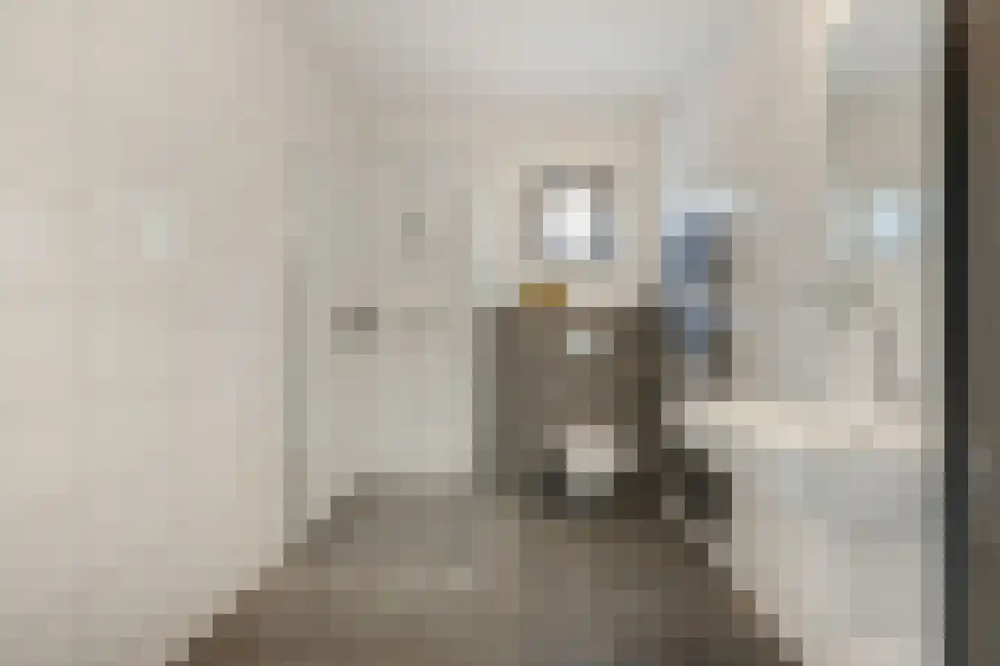 Binnenwei 25 Loo Gld thumbnail 27