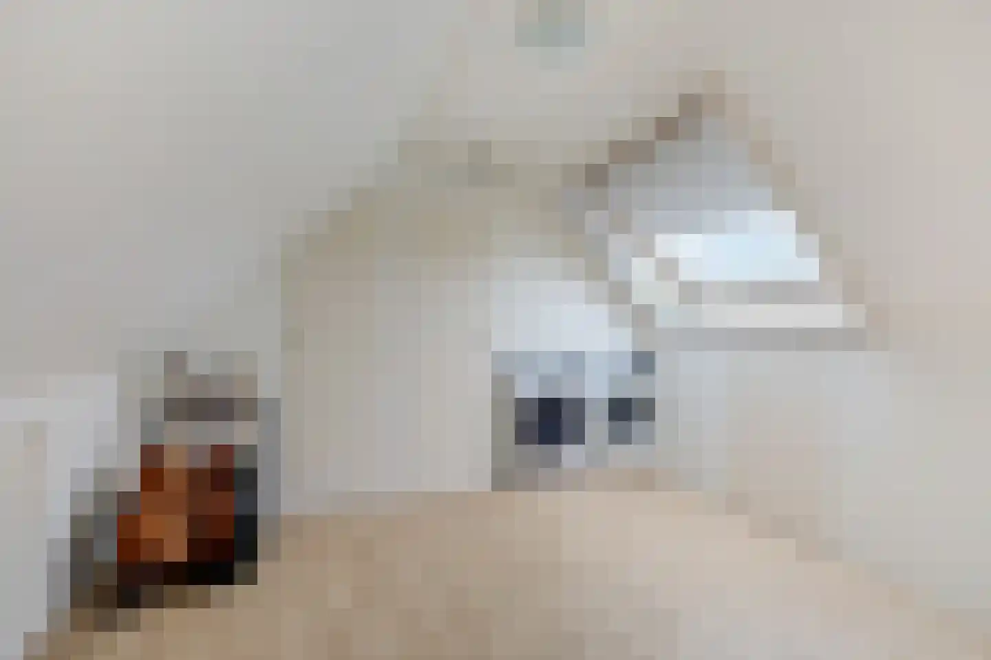 Binnenwei 25 Loo Gld thumbnail 34