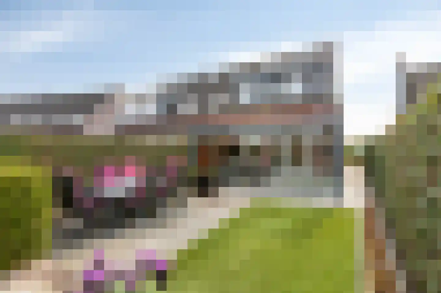 Binnenwei 25 Loo Gld thumbnail 4