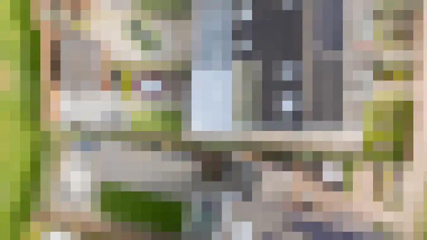 Binnenwei 25 Loo Gld thumbnail 44