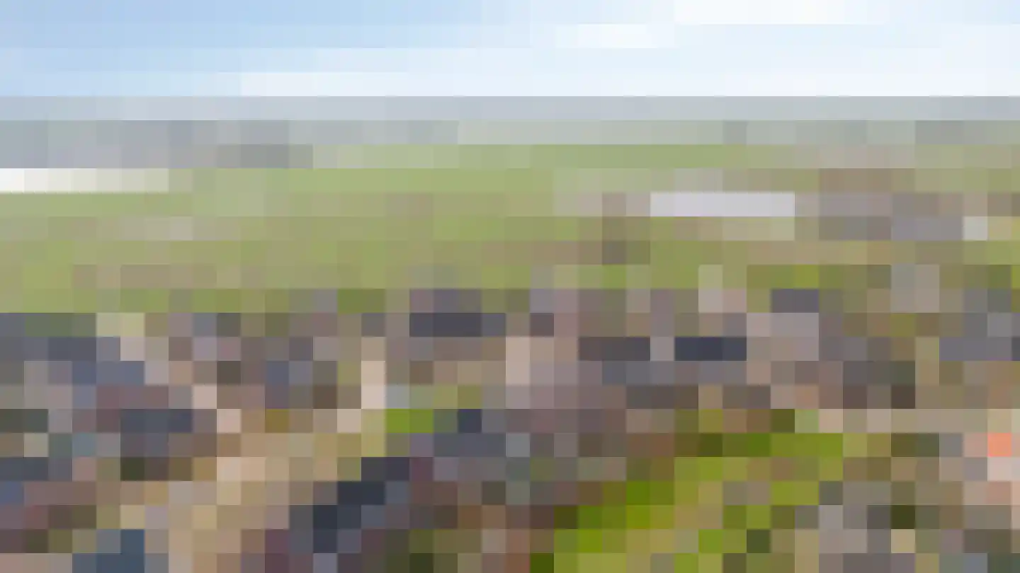 Binnenwei 25 Loo Gld thumbnail 5