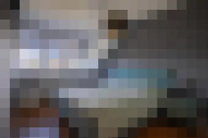 Binnenwei 29 Loo Gld thumbnail 14