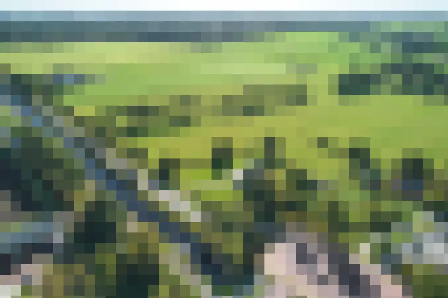 Binnenwei 42 Siegerswoude thumbnail 12