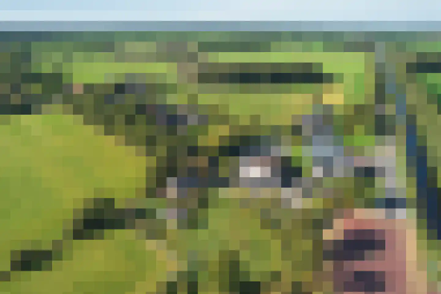 Binnenwei 42 Siegerswoude thumbnail 30