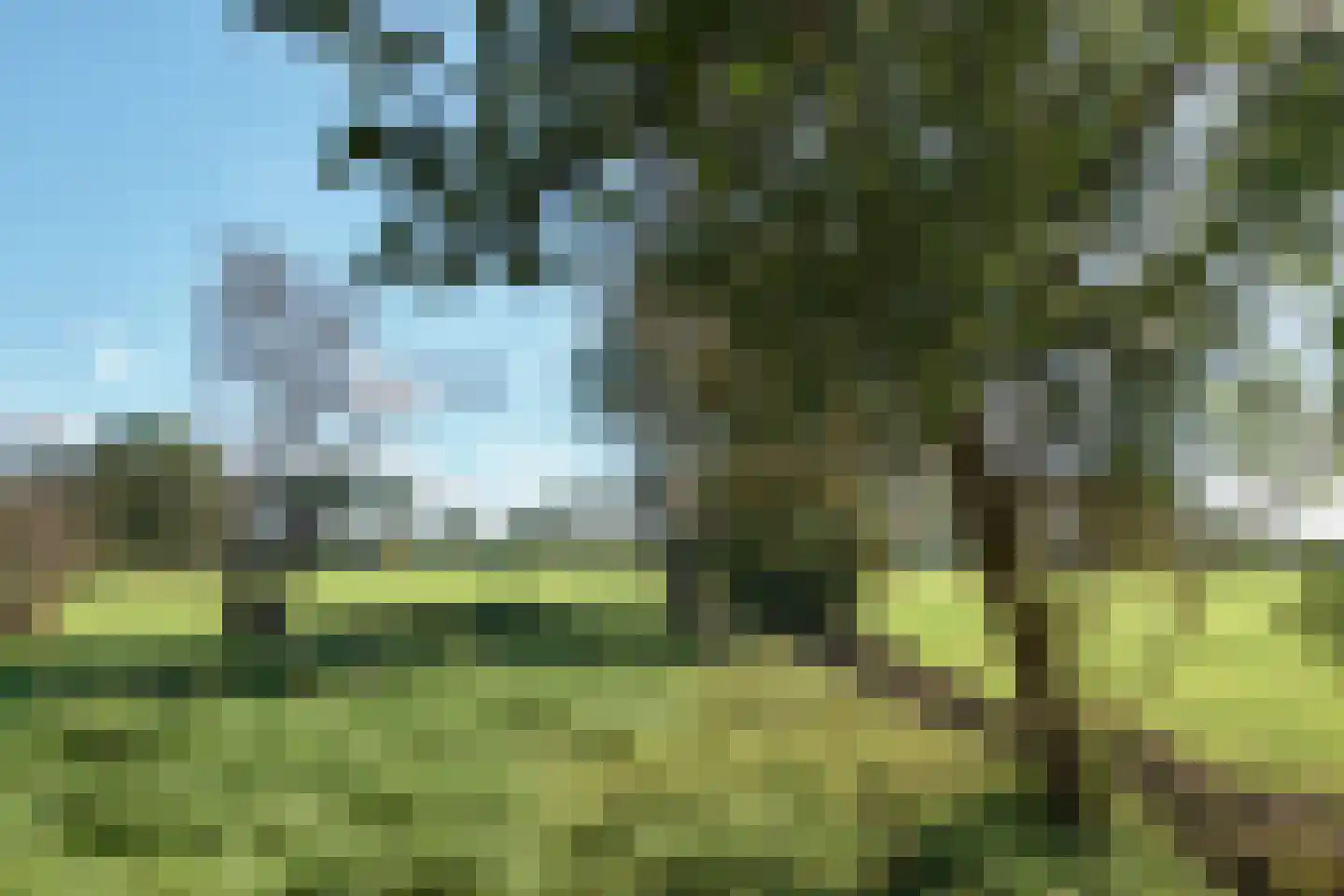 Binnenwei 42 Siegerswoude thumbnail 8