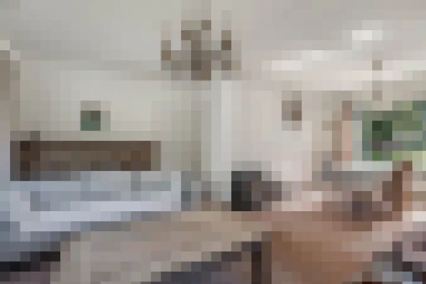 Binnenwei 52 Hemrik thumbnail 13