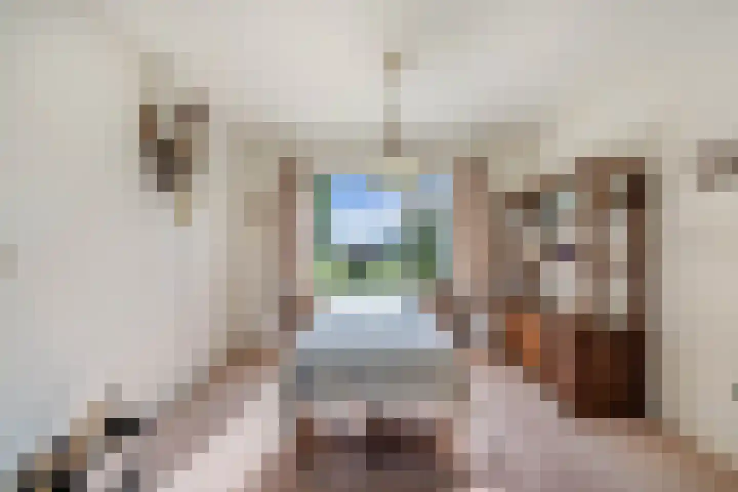 Binnenwei 52 Hemrik thumbnail 15