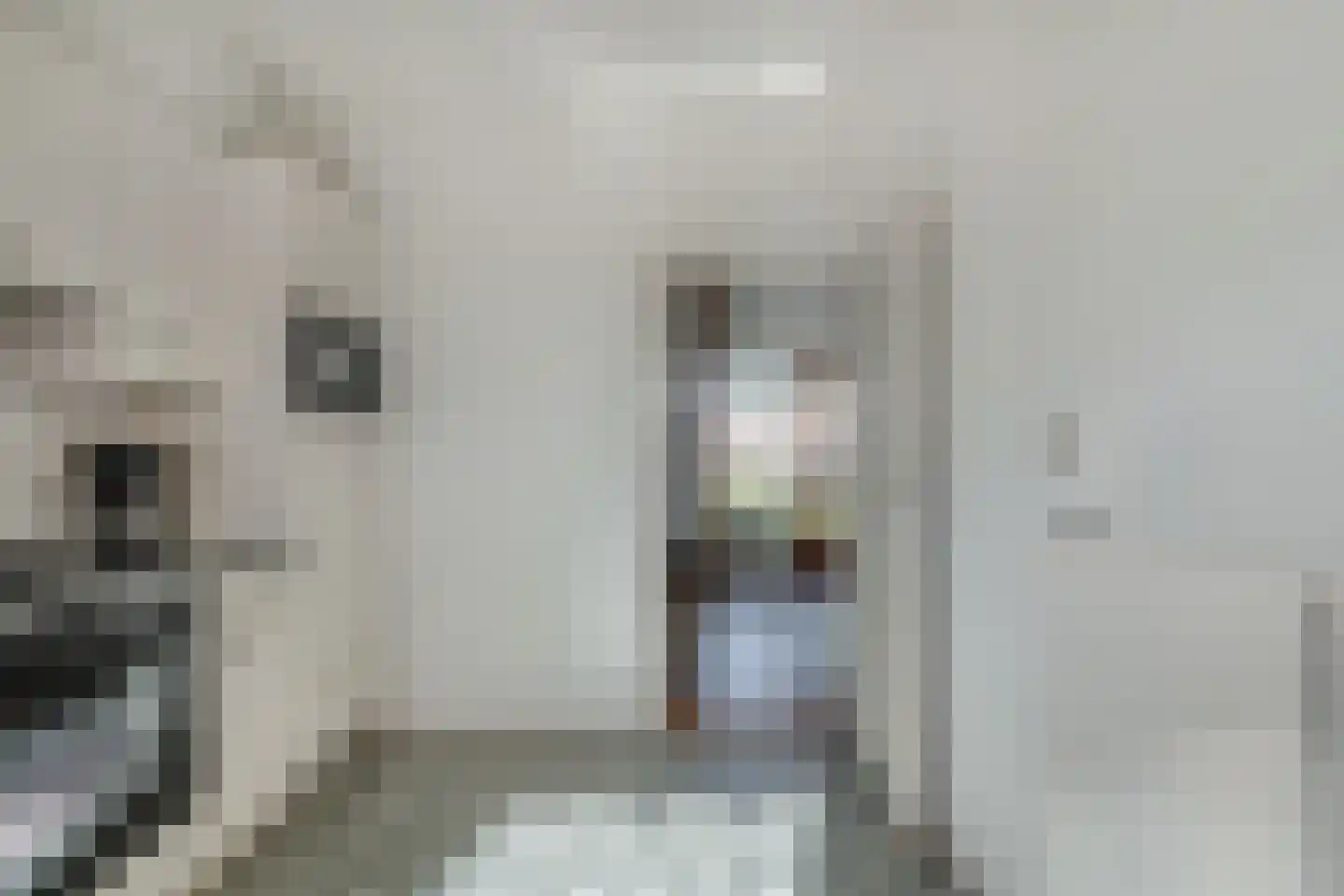 Binnenwei 52 Hemrik thumbnail 16