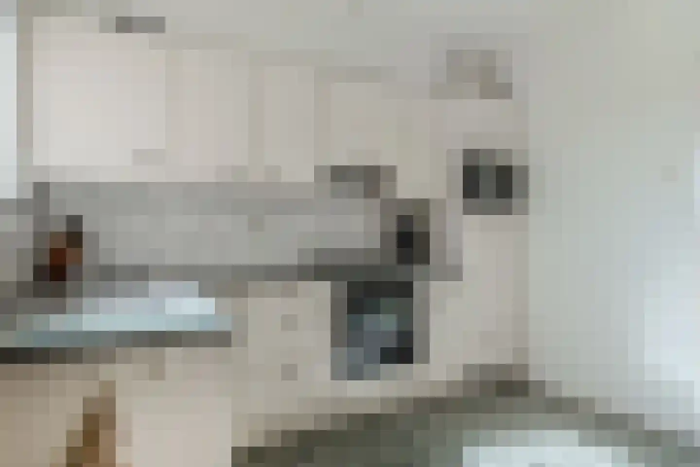 Binnenwei 52 Hemrik thumbnail 18