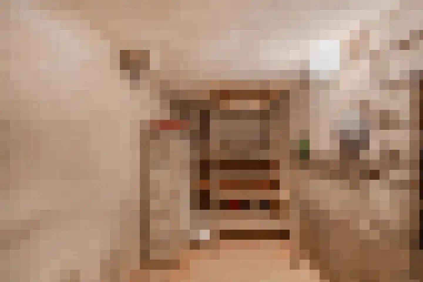 Binnenwei 52 Hemrik thumbnail 19