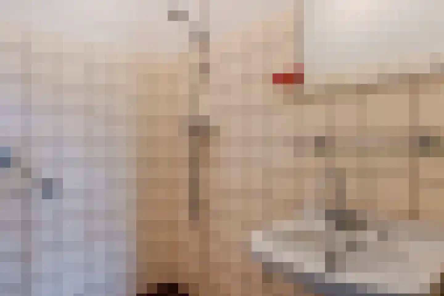 Binnenwei 52 Hemrik thumbnail 25