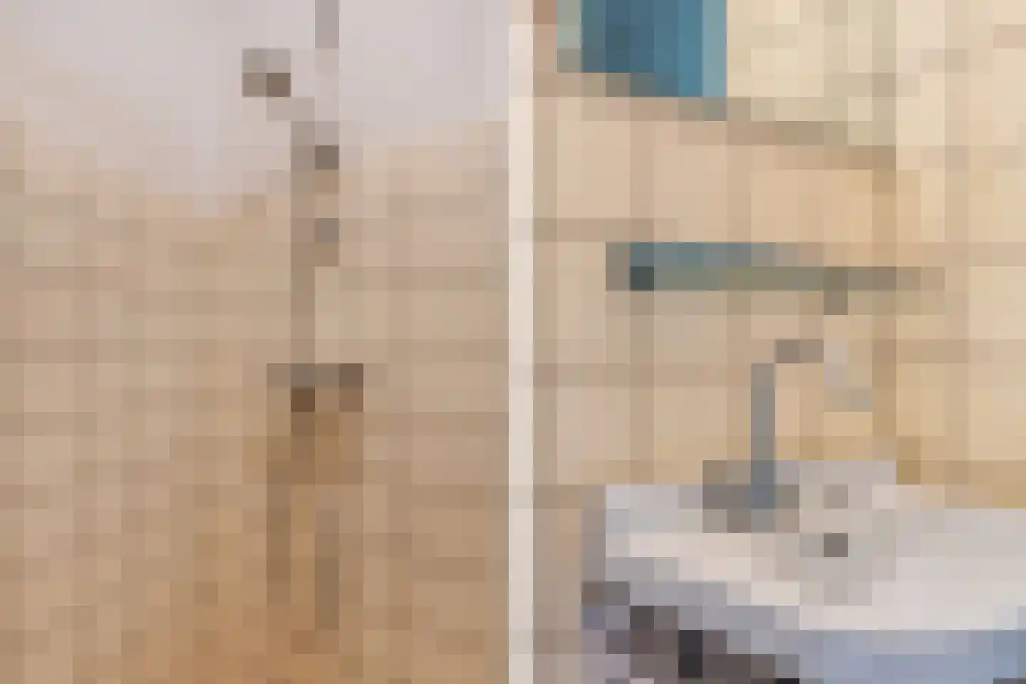 Binnenwei 52 Hemrik thumbnail 26
