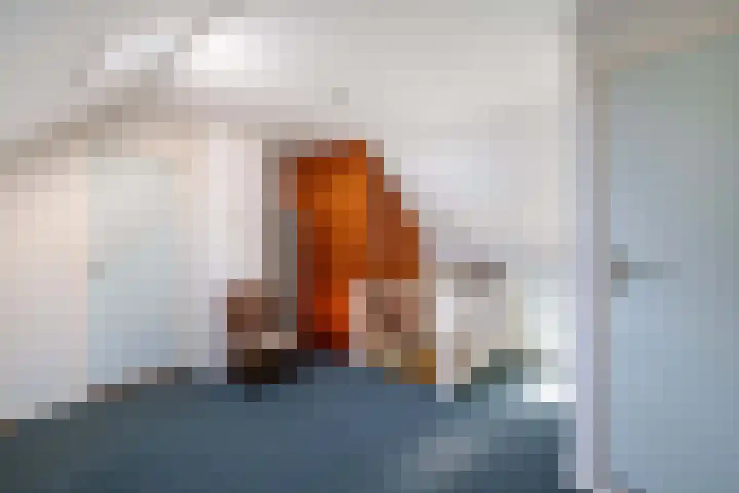 Binnenwei 52 Hemrik thumbnail 27