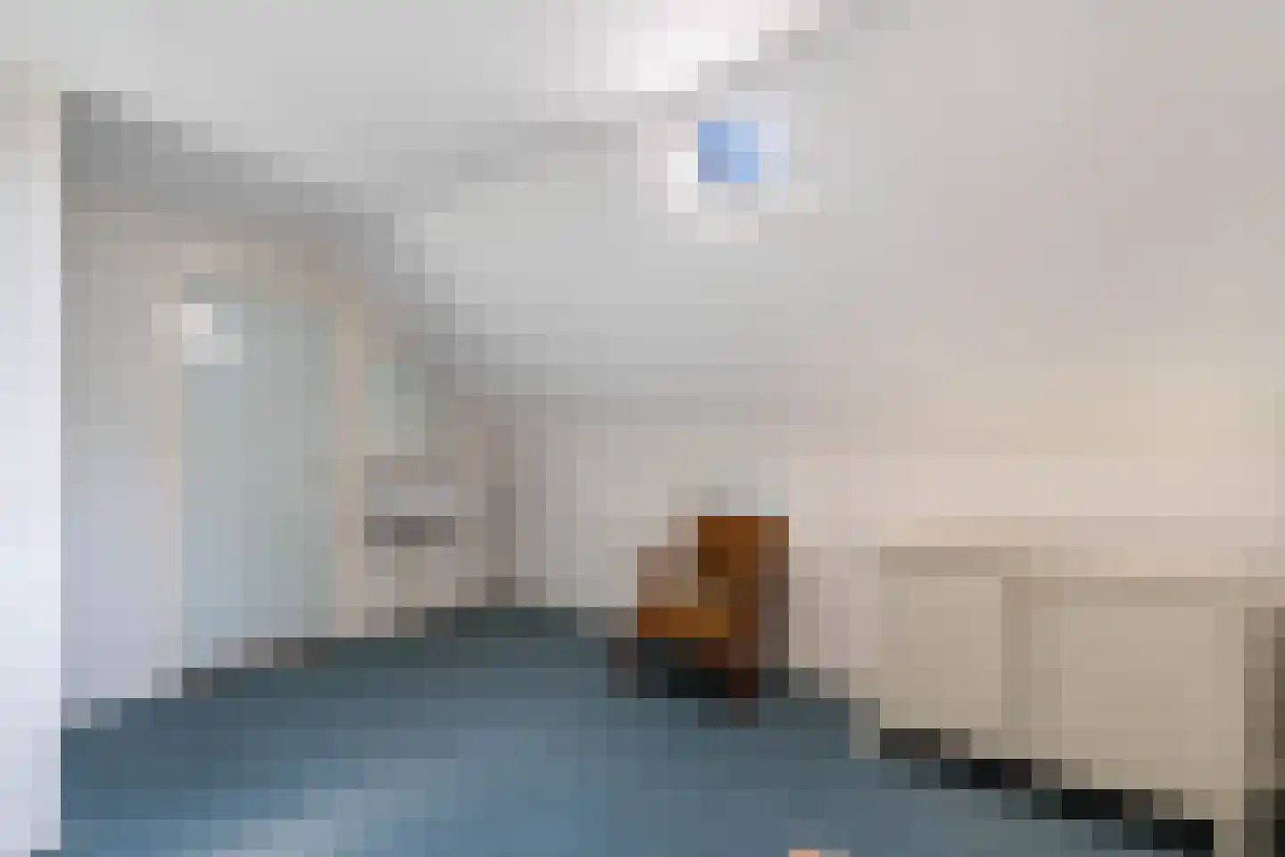 Binnenwei 52 Hemrik thumbnail 28