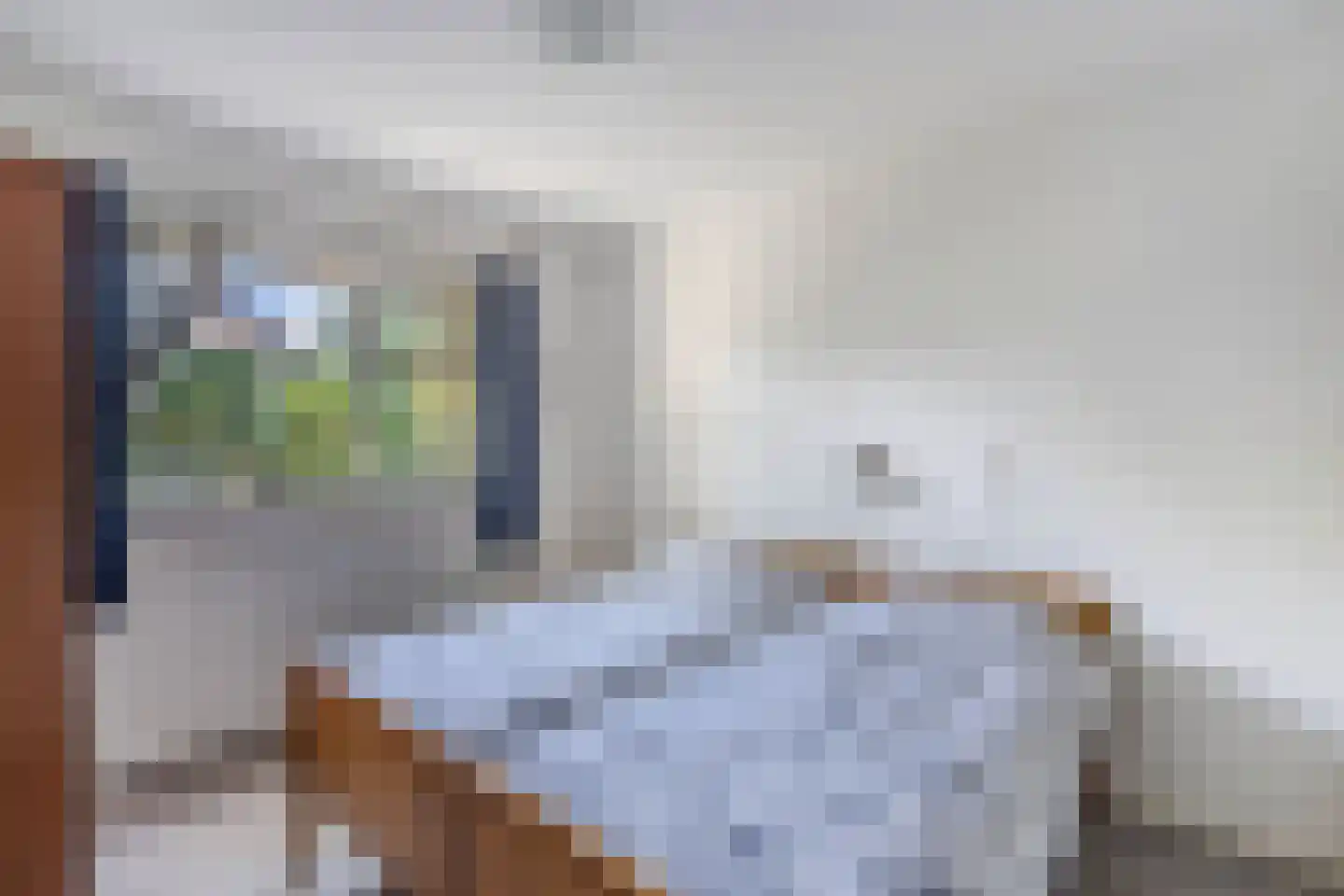 Binnenwei 52 Hemrik thumbnail 29