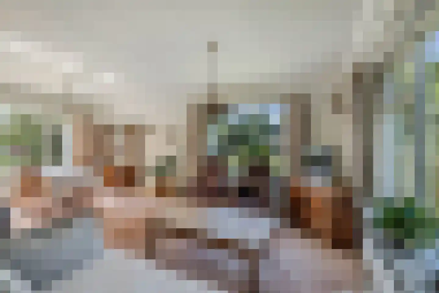 Binnenwei 52 Hemrik thumbnail 4