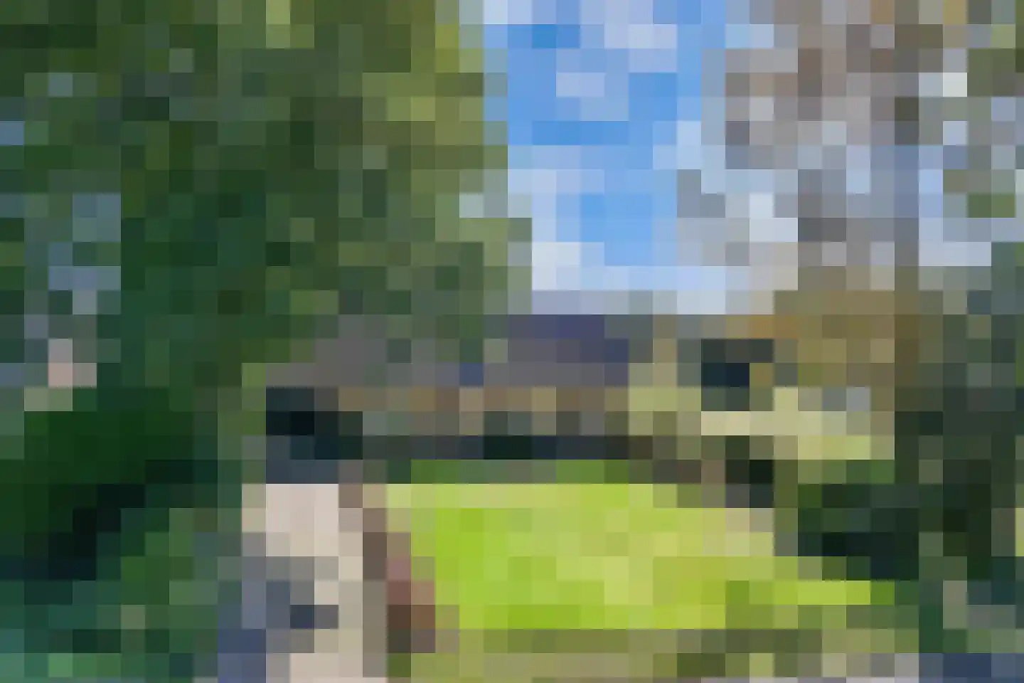Binnenwei 52 Hemrik thumbnail 40