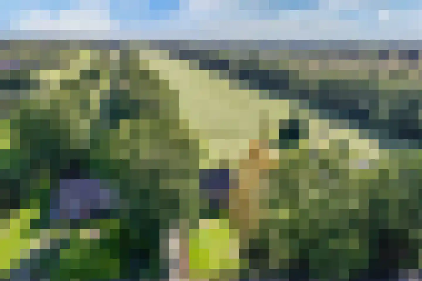 Binnenwei 52 Hemrik thumbnail 41