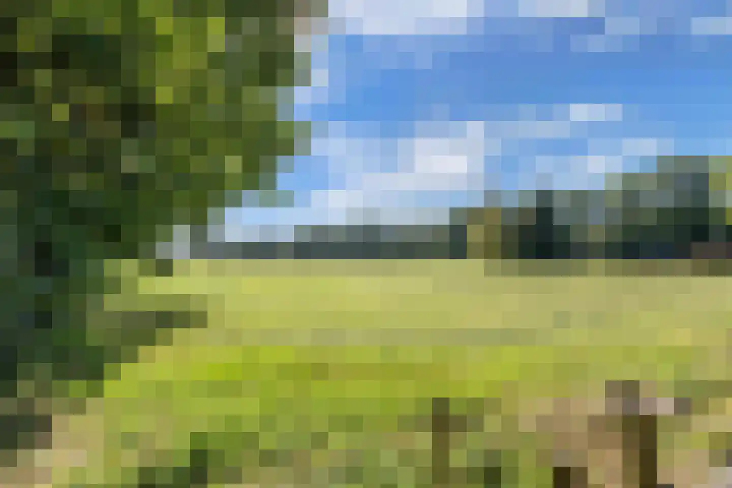 Binnenwei 52 Hemrik thumbnail 47