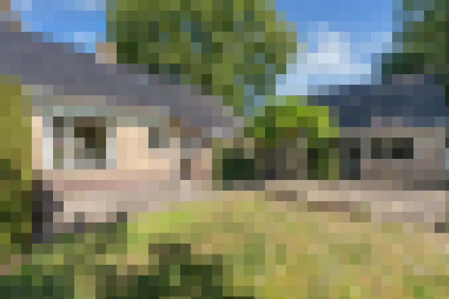 Binnenwei 52 Hemrik thumbnail 51