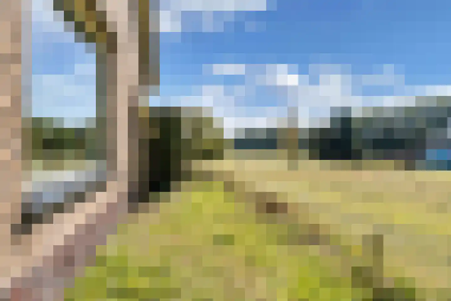 Binnenwei 52 Hemrik thumbnail 52