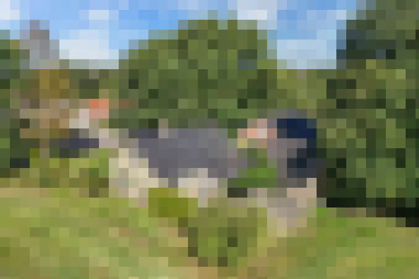 Binnenwei 52 Hemrik thumbnail 54