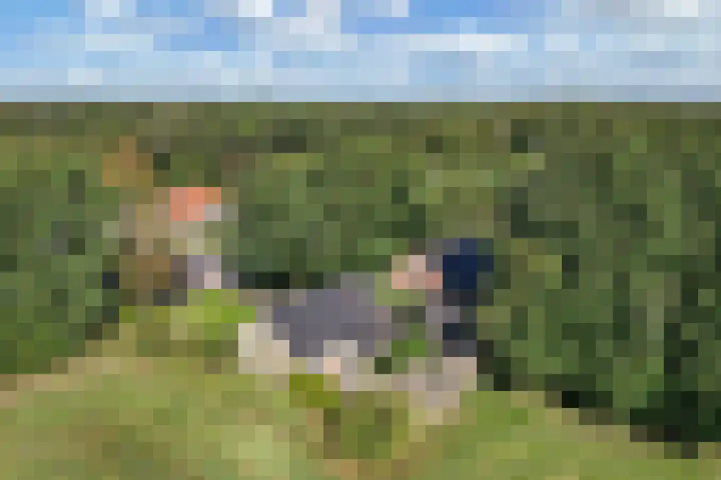 Binnenwei 52 Hemrik thumbnail 55