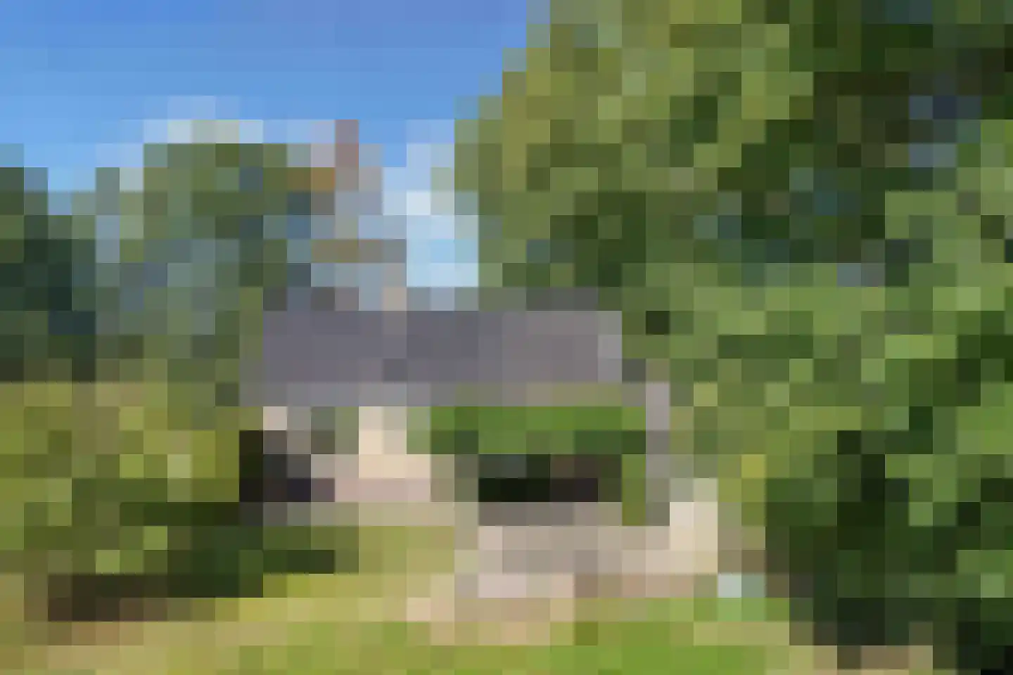 Binnenwei 52 Hemrik thumbnail 56