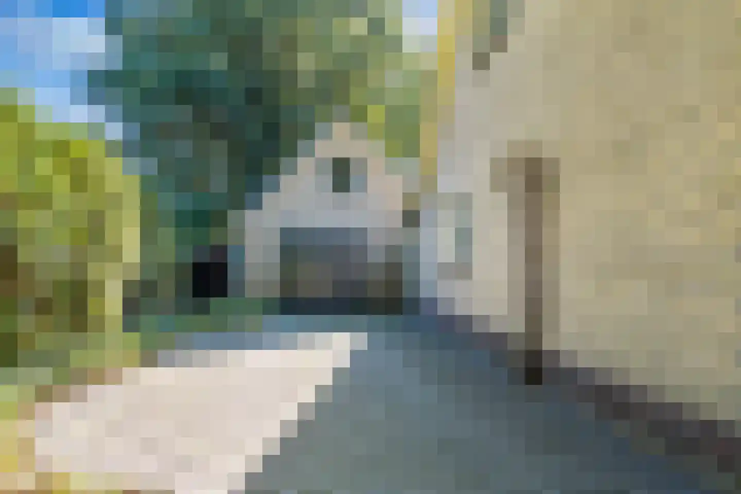 Binnenwei 52 Hemrik thumbnail 6