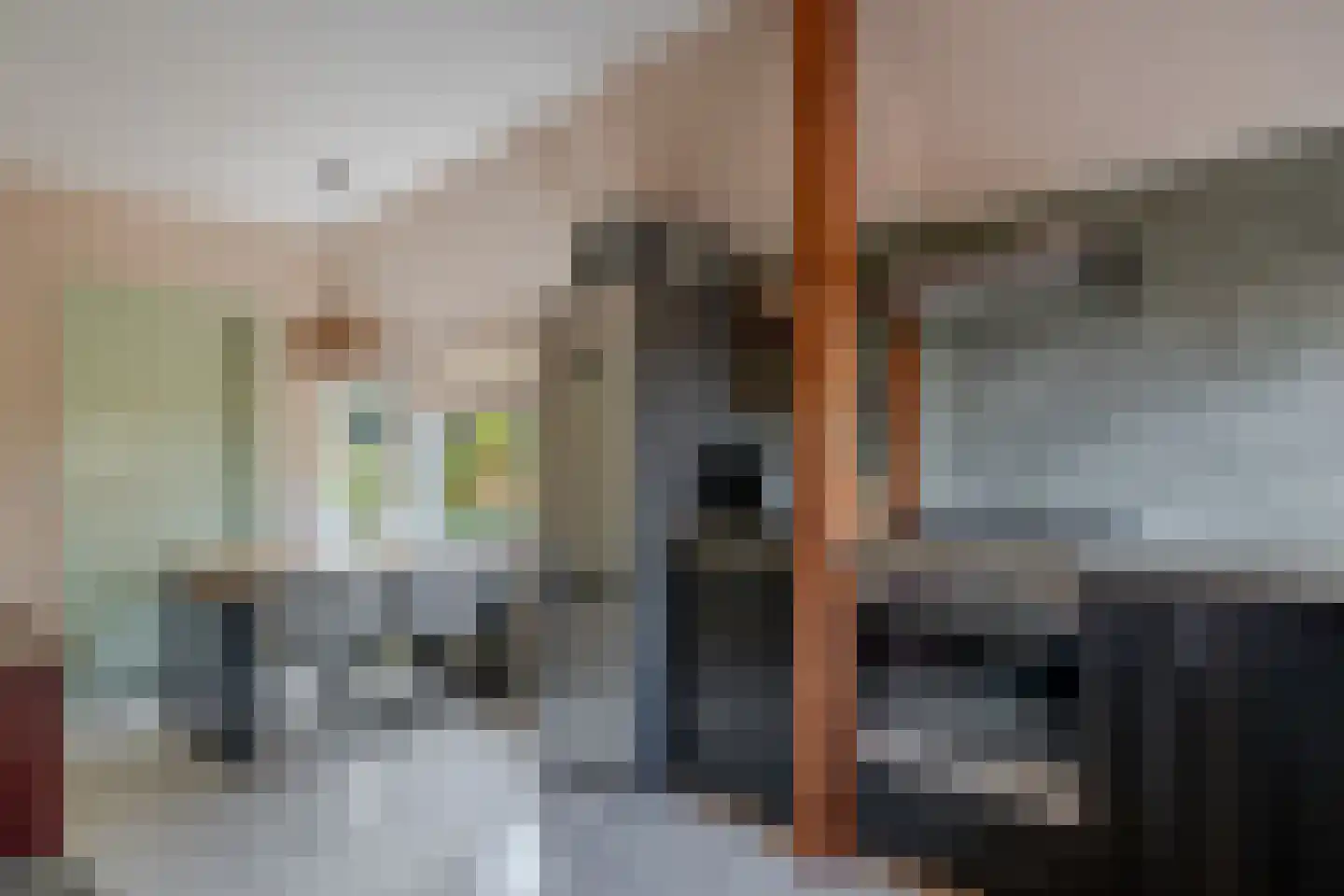 Binnenwei 81 Hemrik thumbnail 15