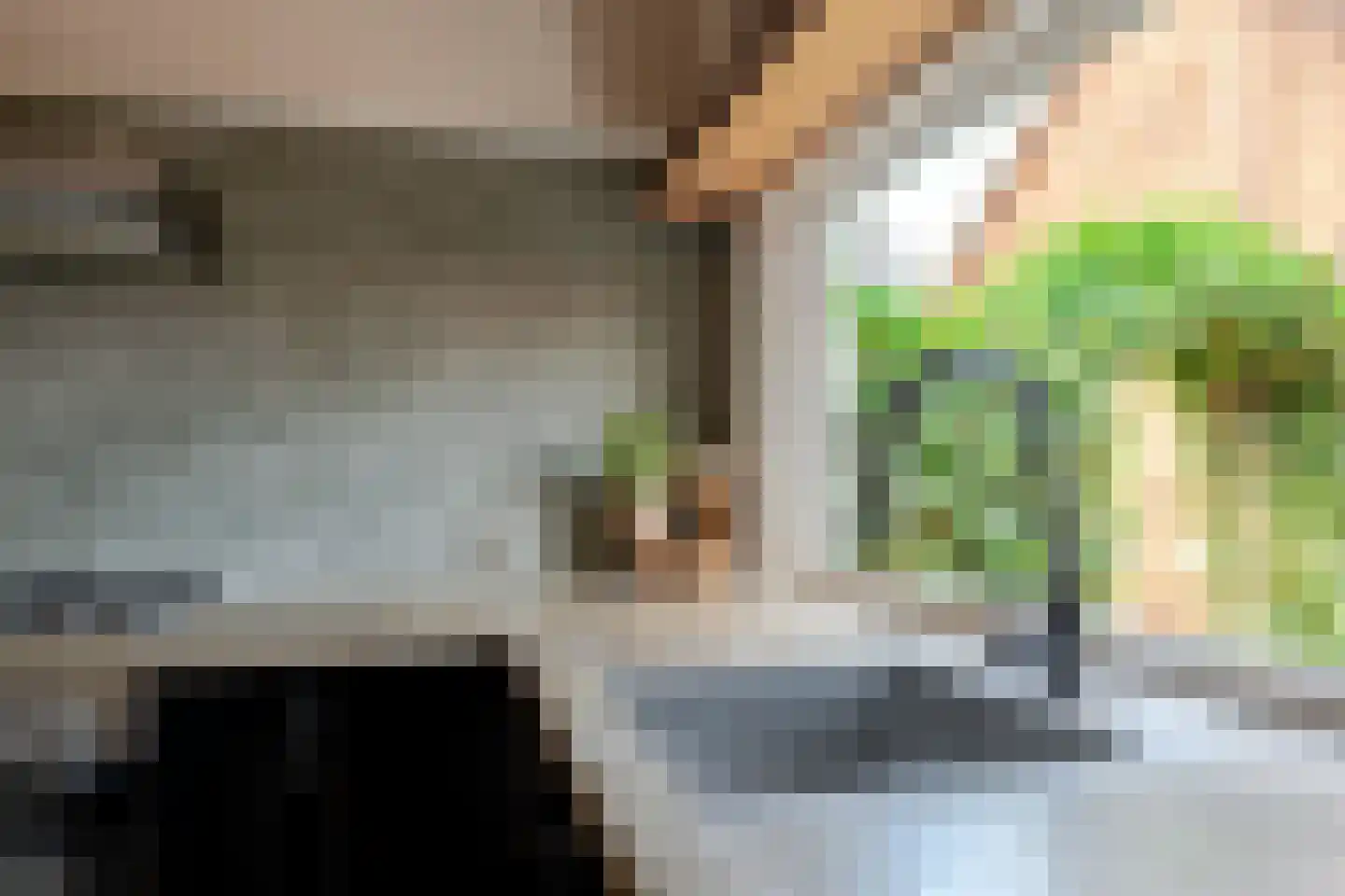 Binnenwei 81 Hemrik thumbnail 17