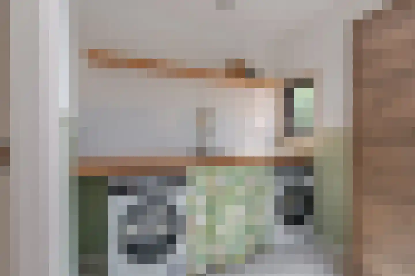 Binnenwei 81 Hemrik thumbnail 22