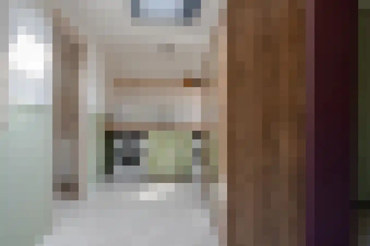 Binnenwei 81 Hemrik thumbnail 23