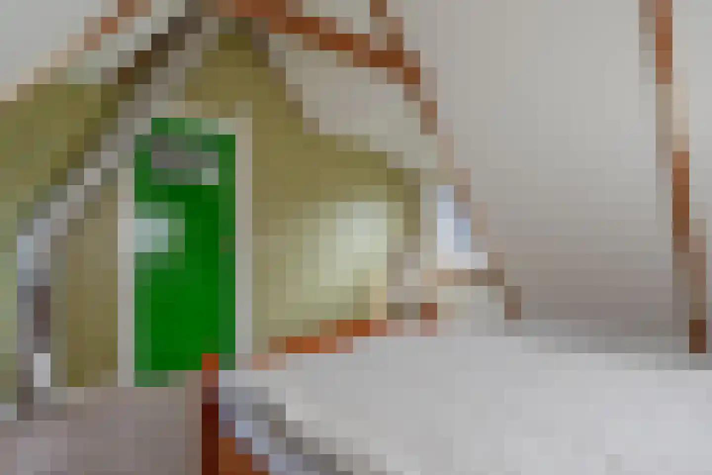 Binnenwei 81 Hemrik thumbnail 32