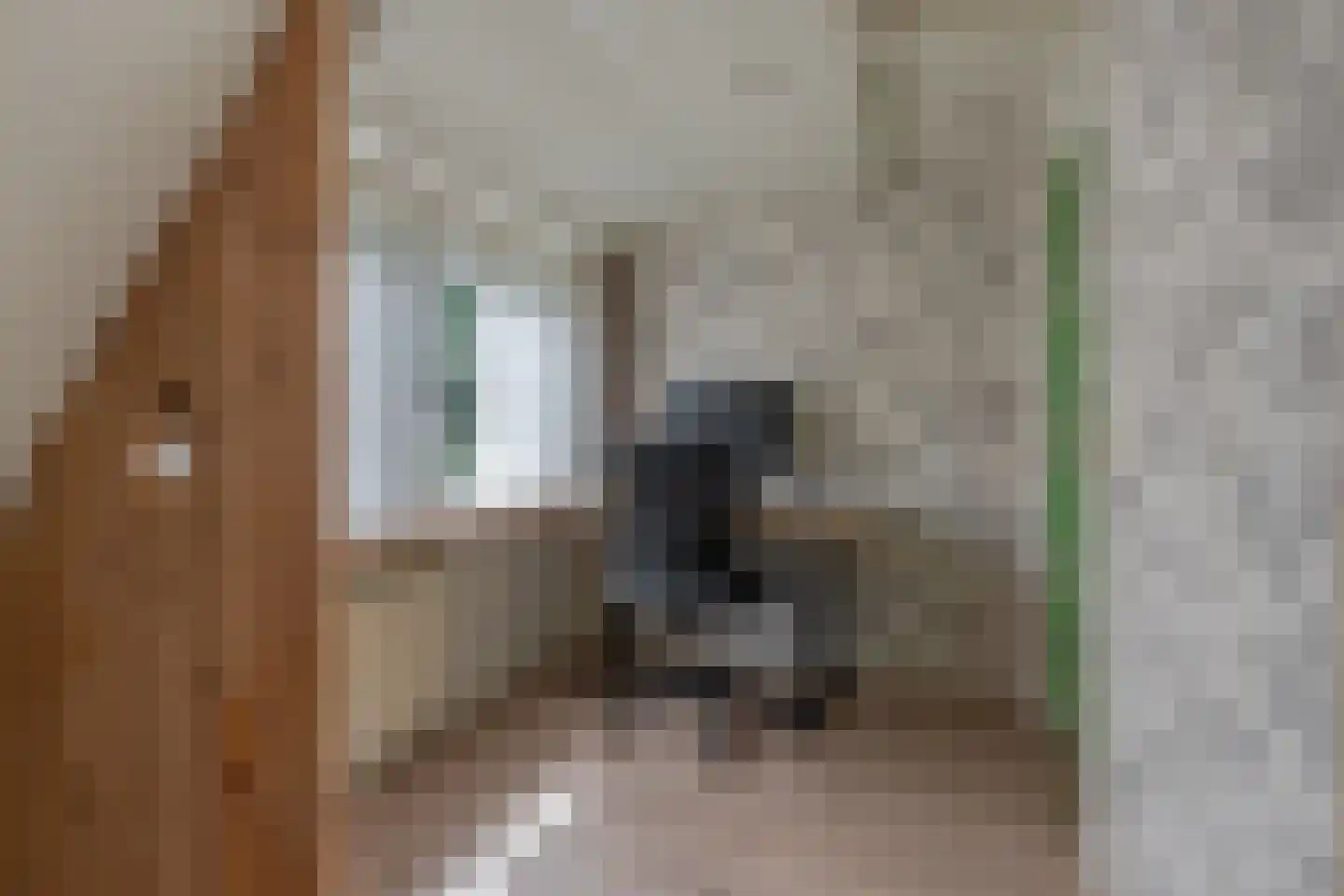 Binnenwei 81 Hemrik thumbnail 34