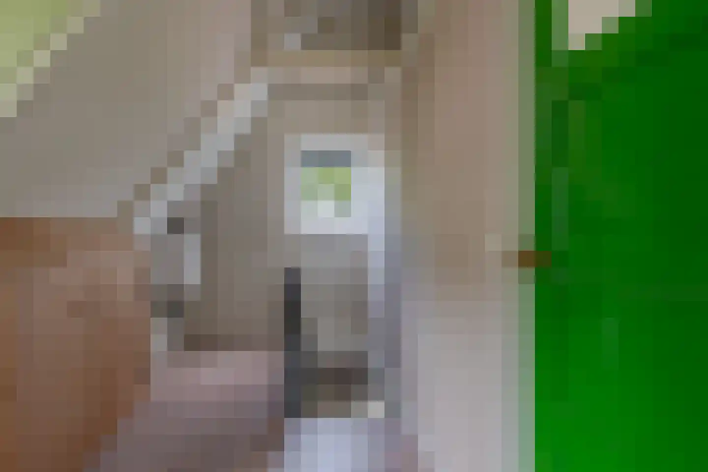 Binnenwei 81 Hemrik thumbnail 35