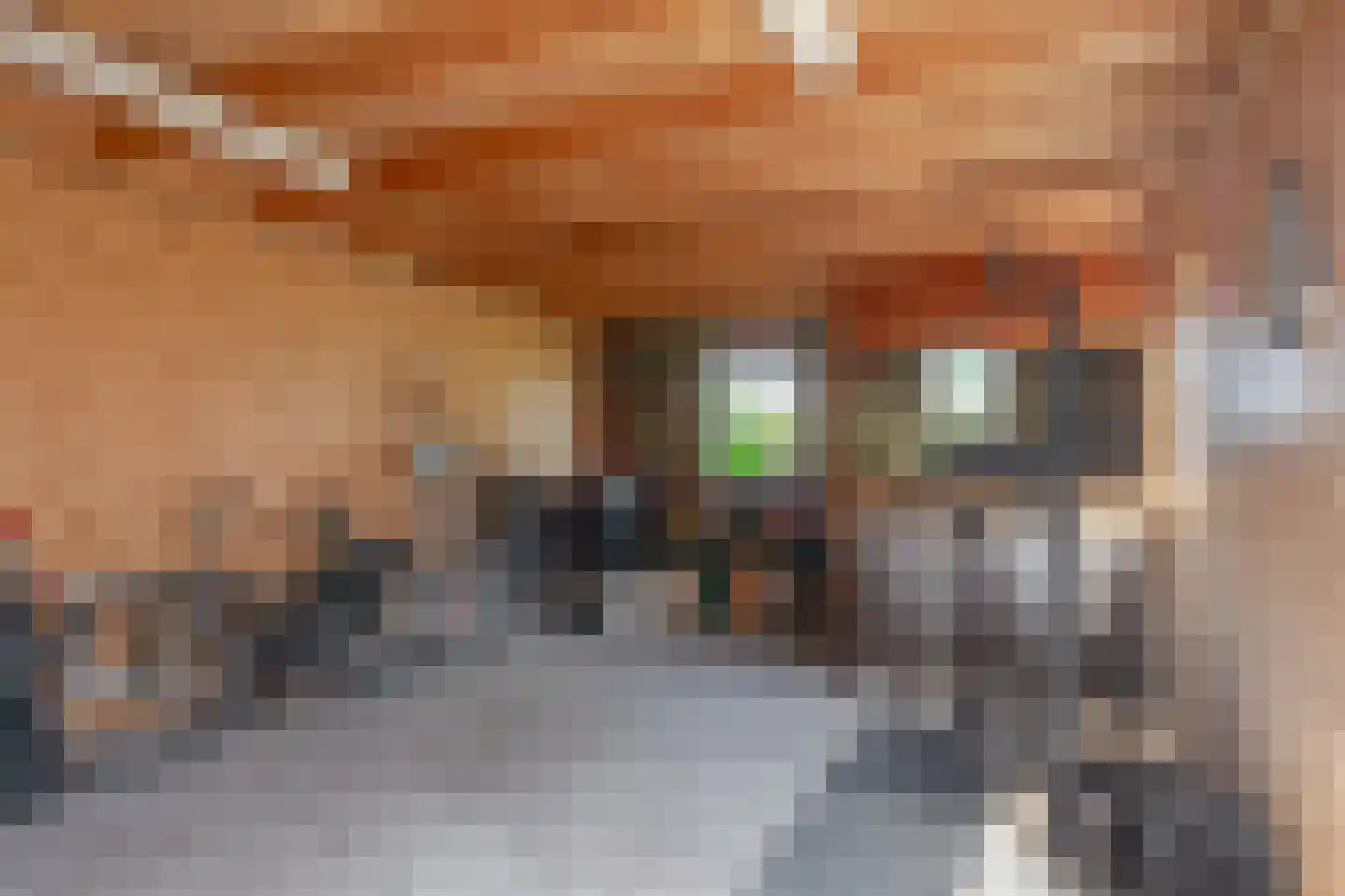Binnenwei 81 Hemrik thumbnail 41