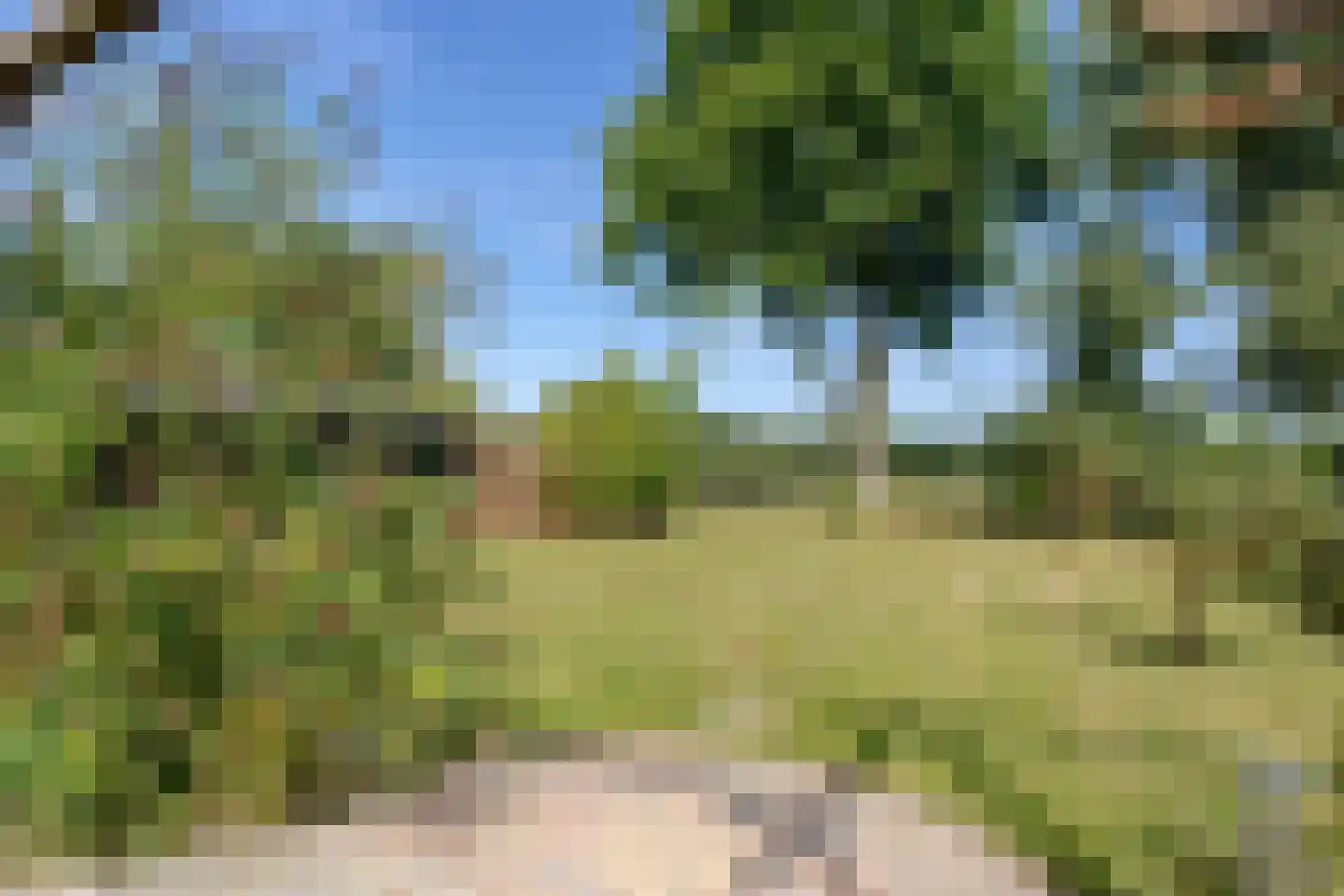 Binnenwei 81 Hemrik thumbnail 45