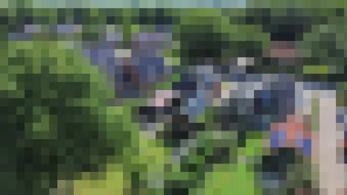 Binnenwei 81 Hemrik thumbnail 46