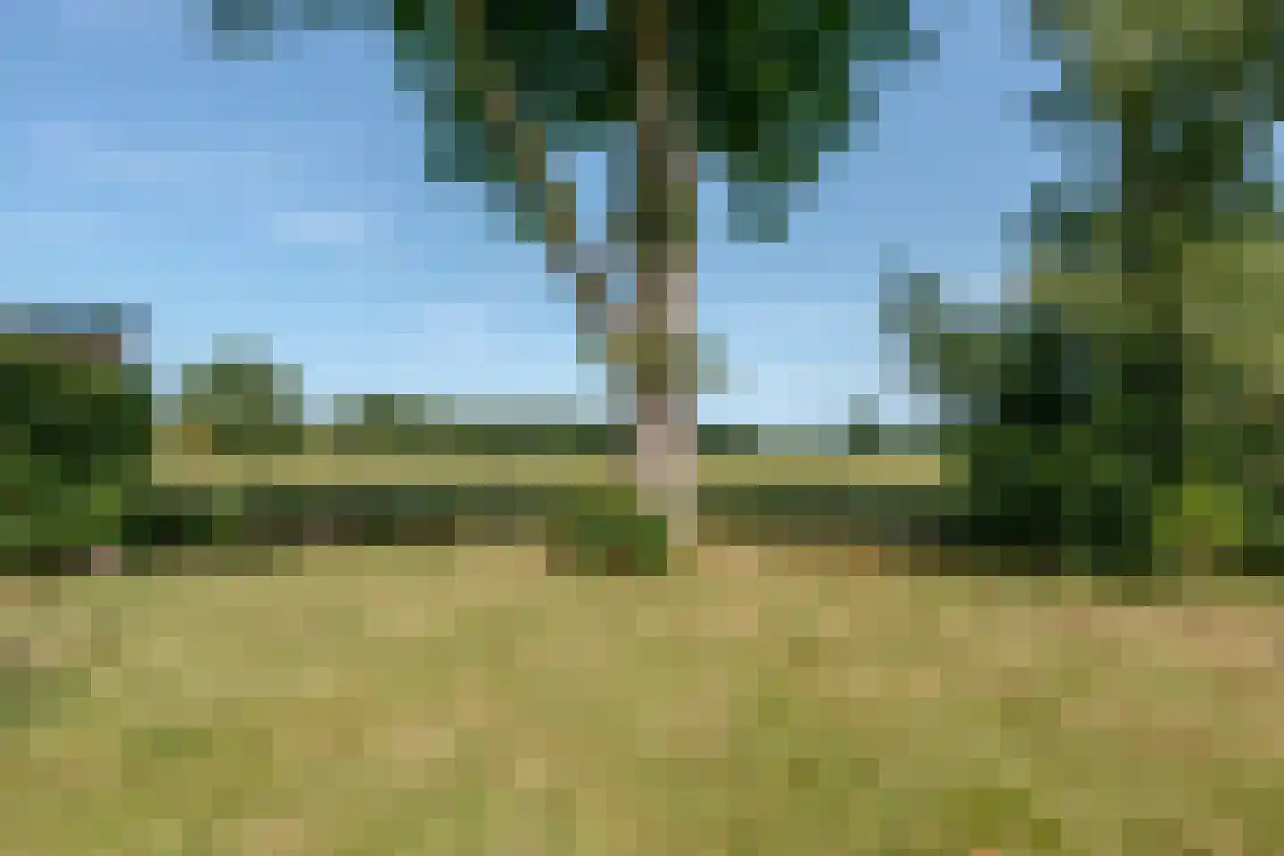 Binnenwei 81 Hemrik thumbnail 5