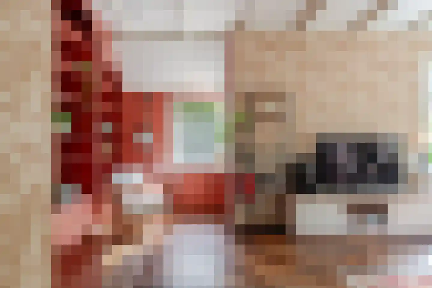 Binnenwei 81 Hemrik thumbnail 9