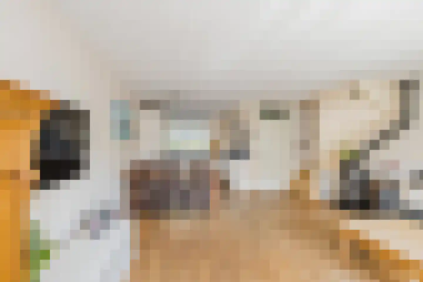 Binnenweid 2 Velserbroek thumbnail 14