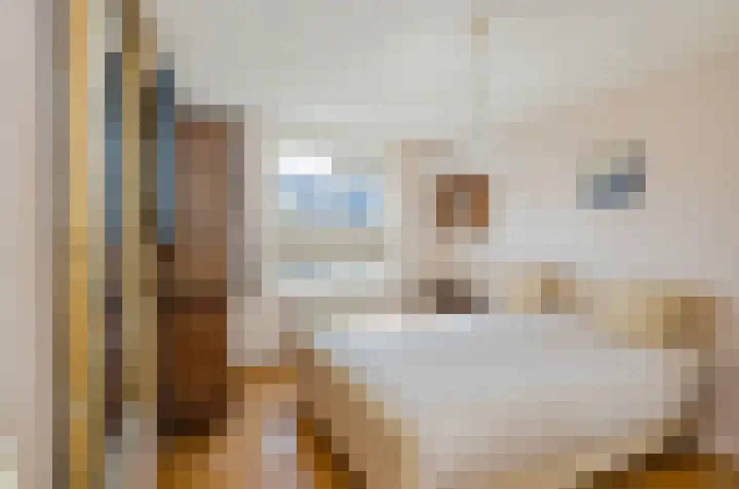 Binnenweid 2 Velserbroek thumbnail 27